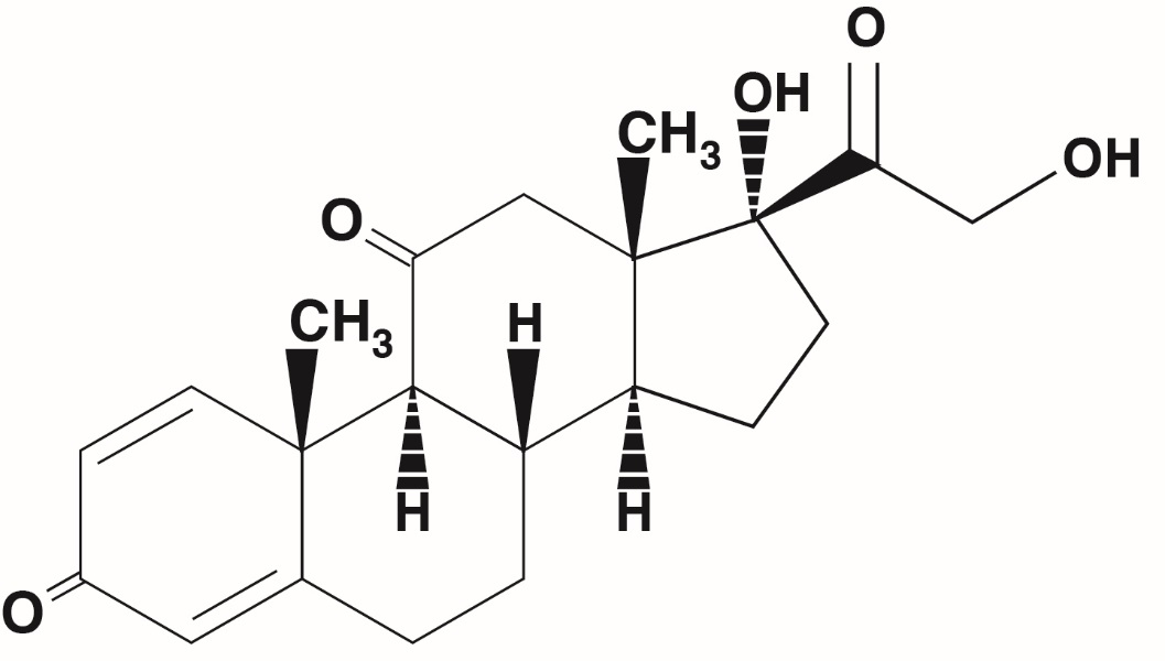 Pill image for Prednisone Tablets, Usp
