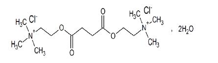 Pill image for These Highlights Do Not Include All The Information Needed To Use Succinylcholine Chloride Injection Safely And Effectively. See Full Prescribing Information For Succinylcholine Chloride Injection.