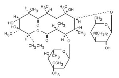Pill image for Erythromycin Tablets, Usp