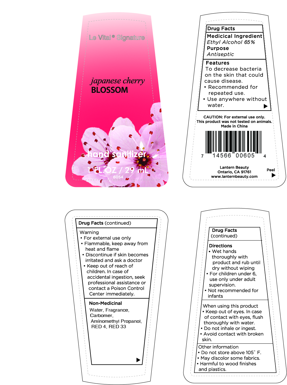 Pill image for hand sanitizer 29ml