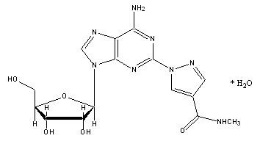 Pill image for These Highlights Do Not Include All The Information Needed To Use Lexiscan®