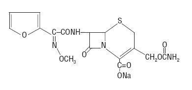 Pill image for Cefuroxime For Injection Usp And Dextrose Injection Usp