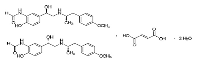 Pill image for These Highlights Do Not Include All The Information Needed To Use Formoterol Fumarate Inhalation Solution Safely And Effectively. See Full Prescribing Information For Formoterol Fumarate Inhalation Solution.