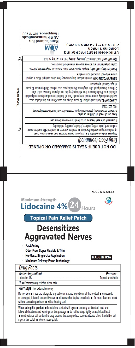 Pill image for Lidocaine Patch 24 Hours