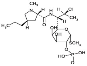 Pill image for These Highlights Do Not Include All The Information Needed To Use Clindamycin Phosphate And Benzoyl Peroxide Gel Safely And Effectively. See Full Prescribing Information For Clindamycin Phosphate And Benzoyl Peroxide Gel.