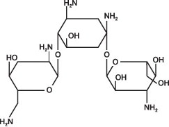 Pill image for Tobramycin Injection, Usp