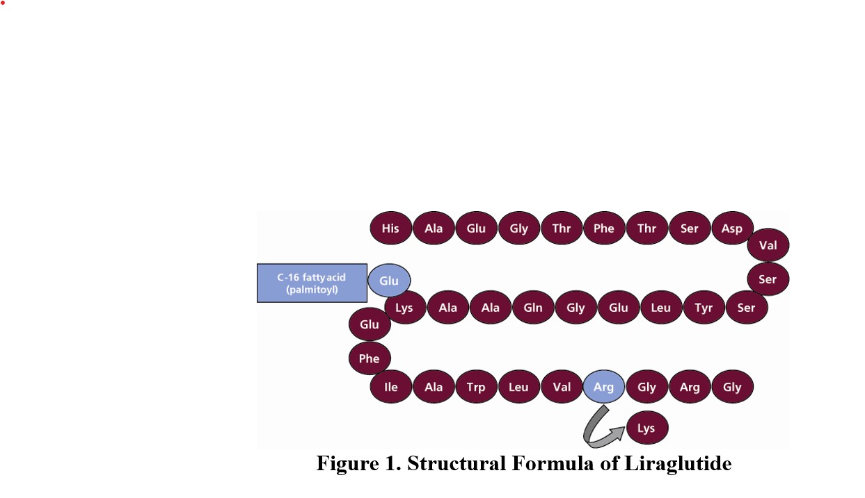 Pill image for these highlights do not include all the information needed to use liraglutide injection