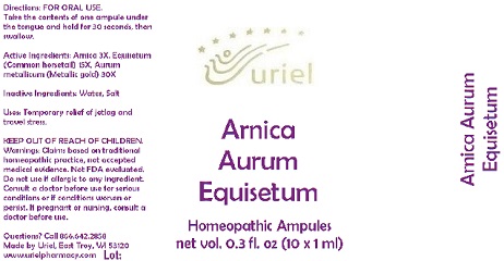 Pill image for Arnica Aurum Equisetum