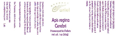 Pill image for Apis Regina Cerebri