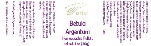Pill image for Betula Argentum