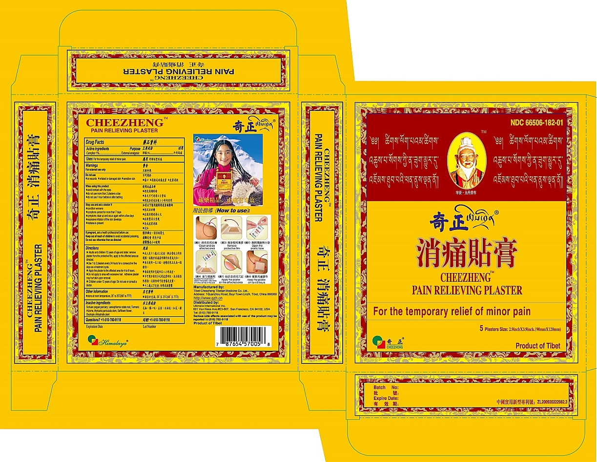 Pill image for Cheezheng Pain Relieveing Plaster