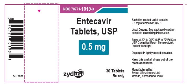 Pill image for Entecavir Tablets