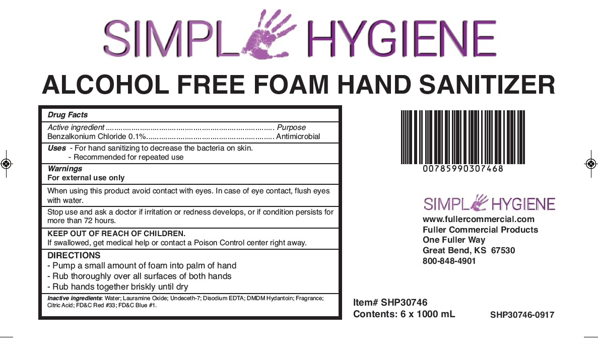Pill image for Alcohol Free Foam Hand Sanitizer
