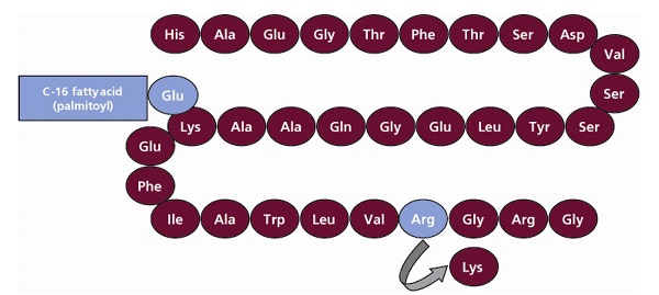 Pill image for These Highlights Do Not Include All The Information Needed To Use Liraglutide Injection Safely And Effectively. See Full Prescribing Information For Liraglutide Injection.