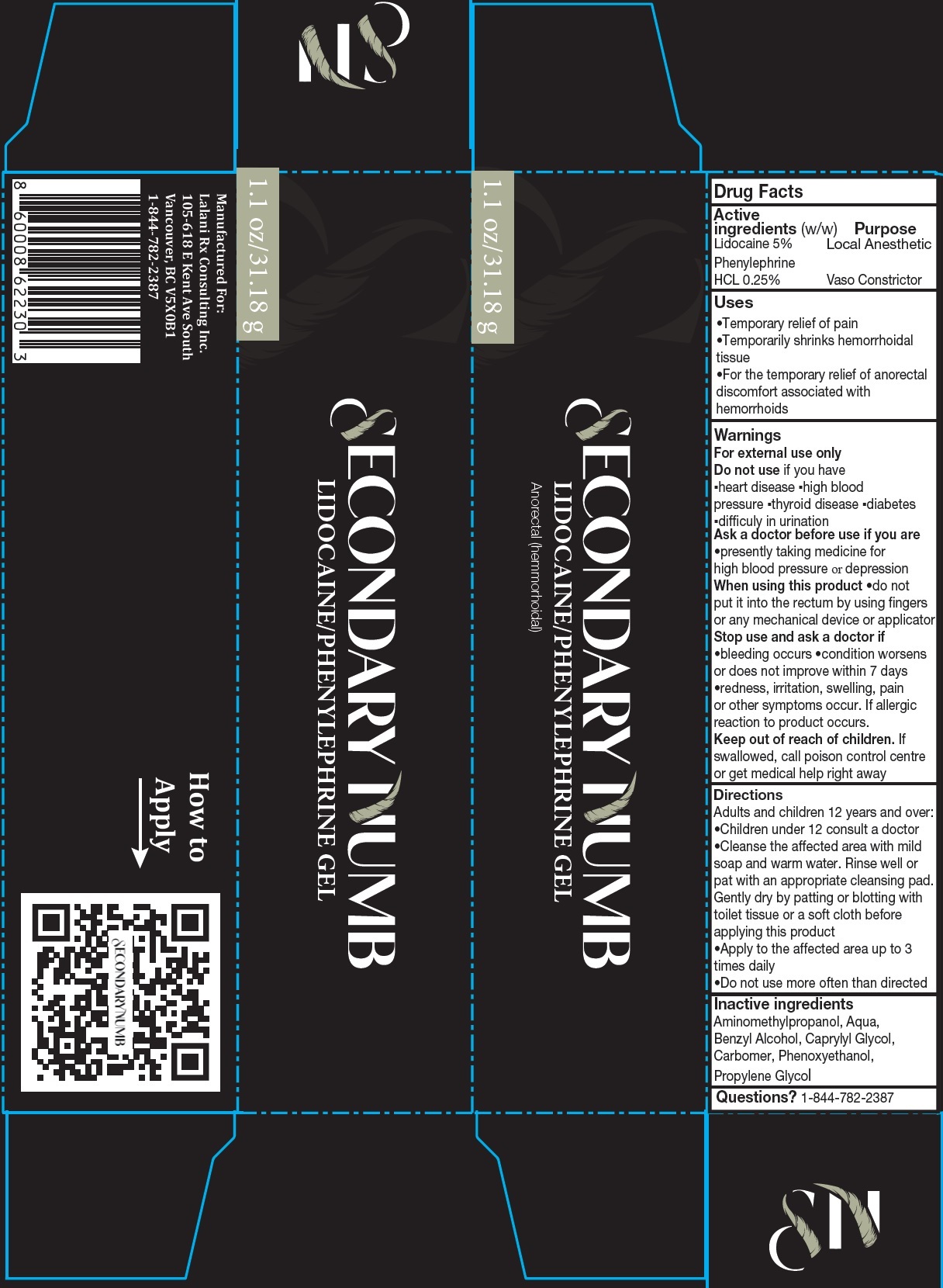 Pill image for Secondary Numb Lidocaine/phenylephrine Gel