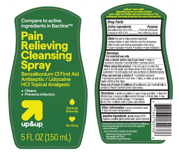 Pill image for target up and up pain relieving cleansing spray