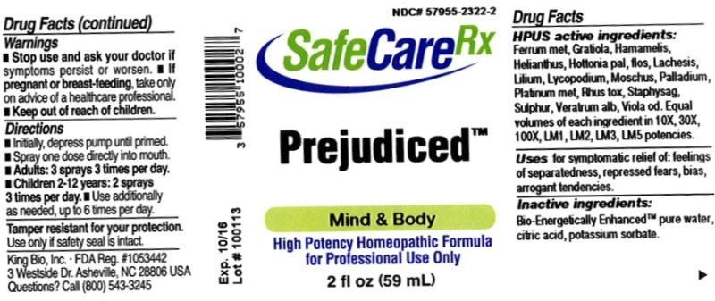 Pill image for Prejudiced