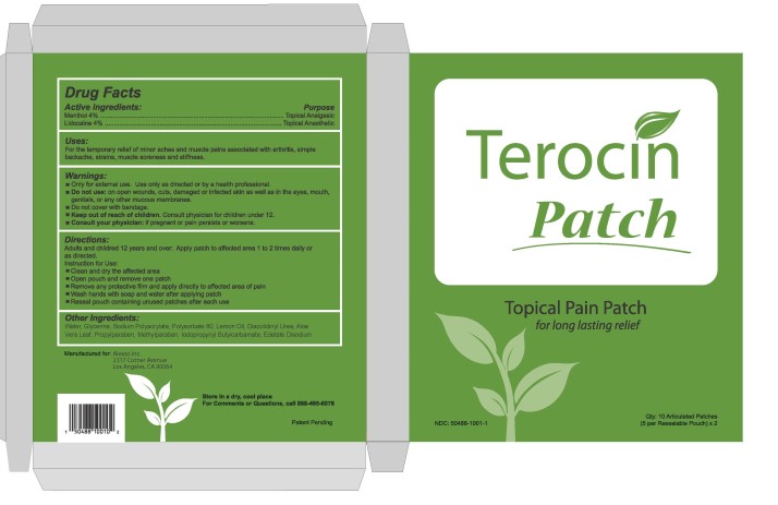 Pill image for Terocin Patch