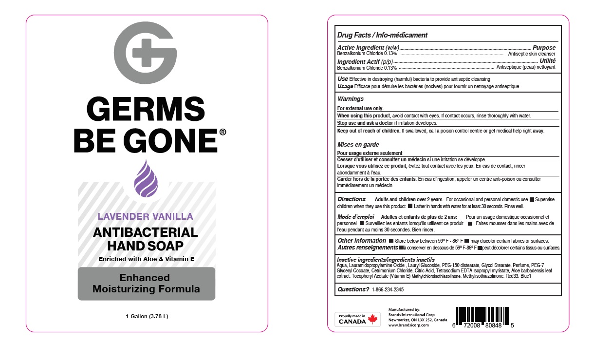 Pill image for Germs Be Gone Antibacterial Hand Soap - Lavender Vanilla