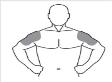 Pill image for These Highlights Do Not Include All The Information Needed To Use Testosterone Gel Safely And Effectively. See Full Prescribing Information For Testosterone Gel.