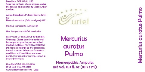 Pill image for Mercurius Auratus Pulmo