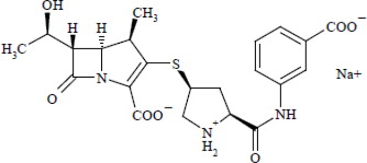 Pill image for These Highlights Do Not Include All The Information Needed To Use Ertapenem For Injection Safely And Effectively. See Full Prescribing Information For Ertapenem For Injection.