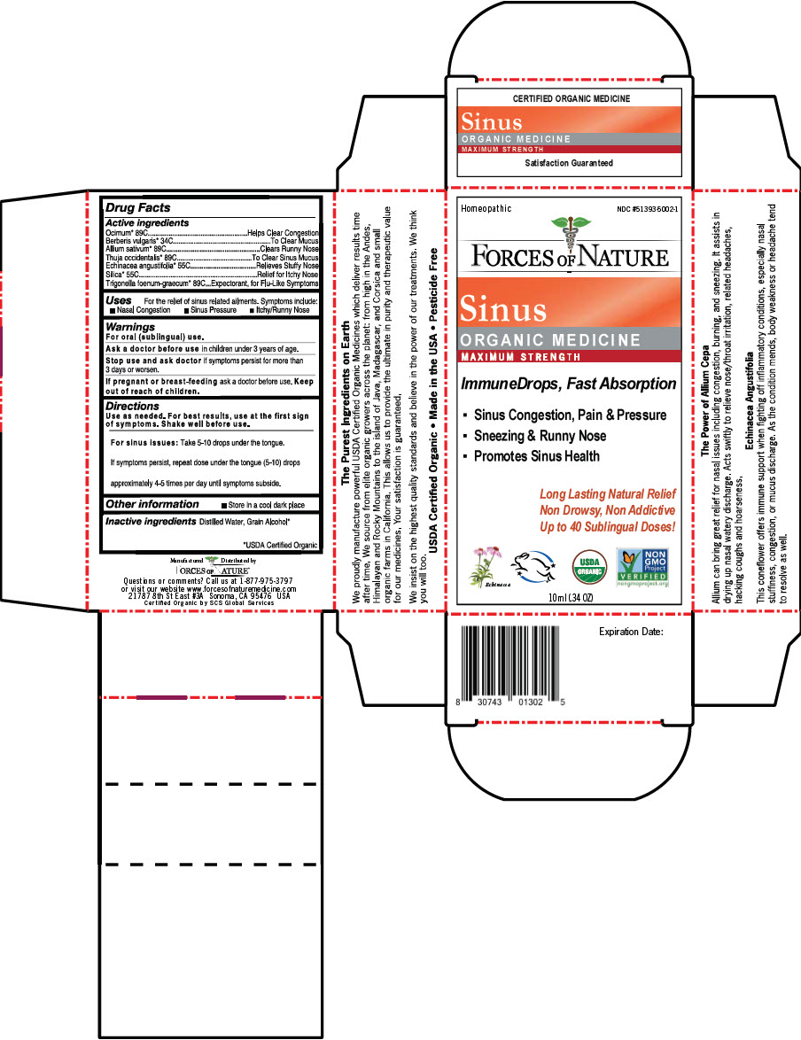 Pill image for Sinus