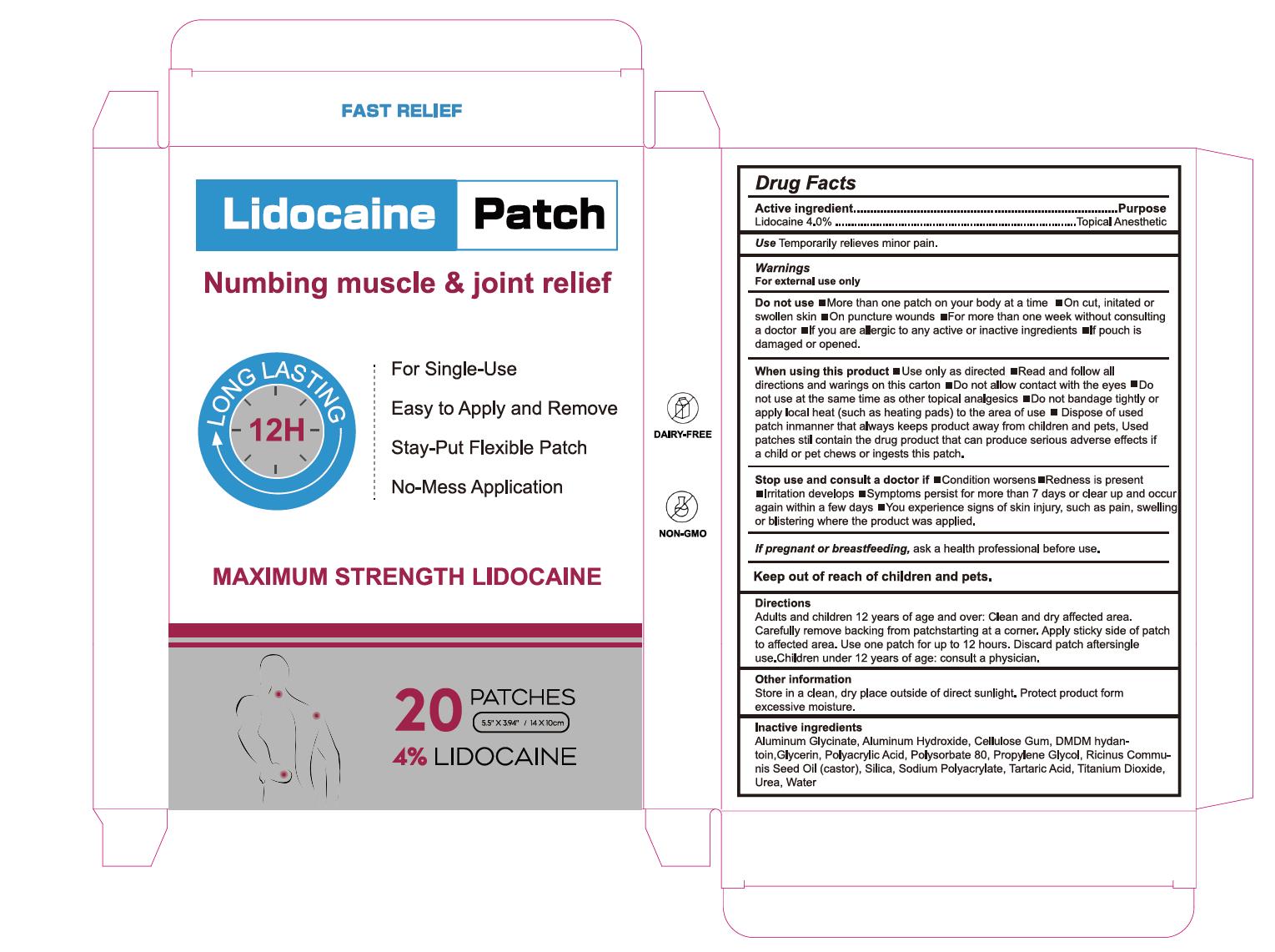 Pill image for Lidocaine Patch