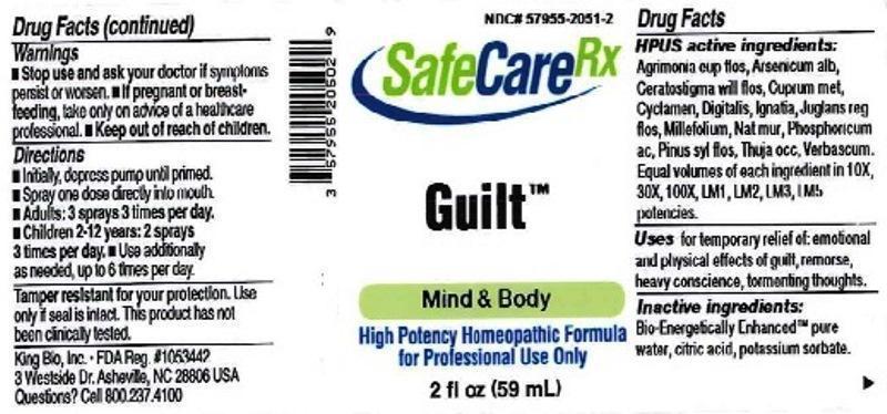 Pill image for Guilt™