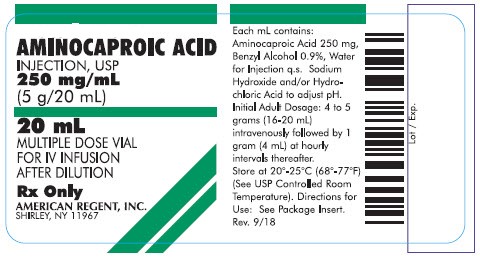Pill image for Aminocaproic Acid Injection, Usp