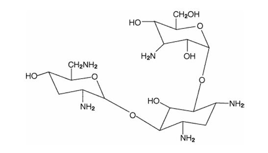 Pill image for These Highlights Do Not Include All The Information Needed To Use Tobramycin Inhalation Solution Safely And Effectively. See Full Prescribing Information For Tobramycin Inhalation Solution.