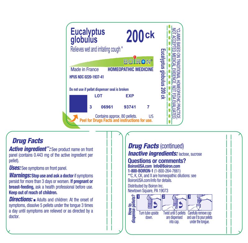 Pill image for Eucalyptus Globulus 200ck