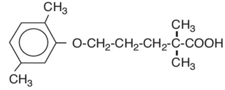 Pill image for Gemfibrozil Tablets, Usp