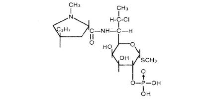 Pill image for cleocin phosphate®