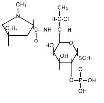 Pill image for Clindamycin Phosphate Gel Usp, 1%