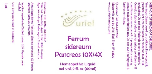 Pill image for Ferrum Sidereum Pancreas 10/4