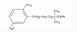 Pill image for Gemfibrozil Tablets, Usp 600 Mg