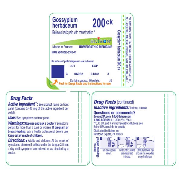 Pill image for Gossypium Herbaceum 200ck