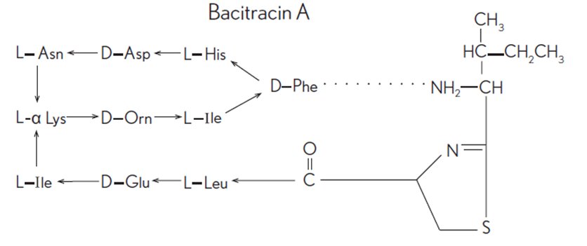 Pill image for Bacitracin Zinc And Polymyxin B Sulfate