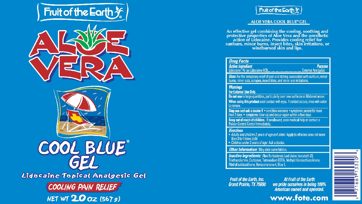Pill image for Fruit Of The Earth Aloe Vera Cool Blue Gel