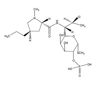 Pill image for these highlights do not include all the information needed to use clindamycin phosphate and tretinoin gel safely and effectively. see full prescribing information for clindamycin phosphate and tretinoin gel.