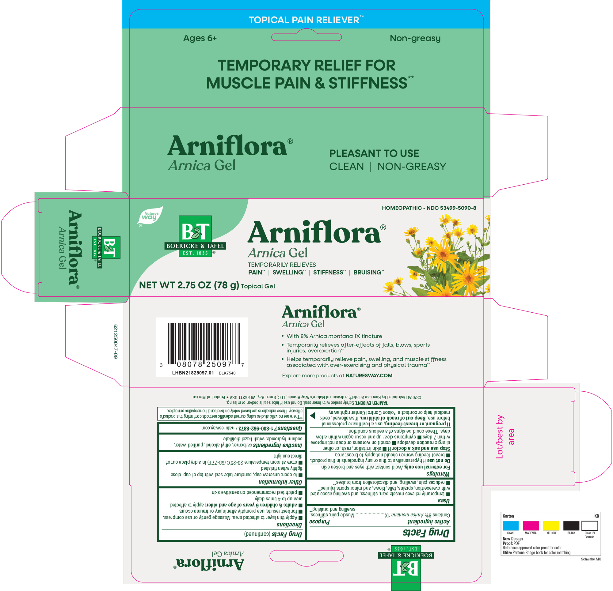 Pill image for Arniflora Gel