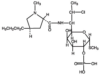 Pill image for Clindamycin Phosphate