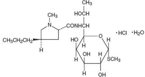 Pill image for Lincomycin Injection, Usp