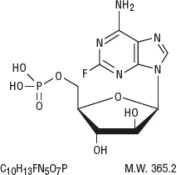 Pill image for These Highlights Do Not Include All The Information Needed To Use Fludarabine Phosphate Injection Safely And Effectively. See Full Prescribing Information For Fludarabine Phosphate Injection.