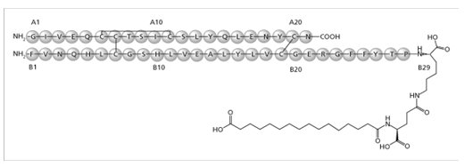 Pill image for These Highlights Do Not Include All The Information Needed To Use Xultophy 100/3.6 Safely And Effectively. See Full Prescribing Information For Xultophy 100/3.6