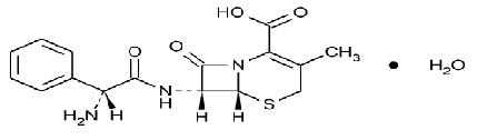 Pill image for these highlights do not include all the information needed to use cephalexin capsules safely and effectively. see full prescribing information for cephalexin capsules.