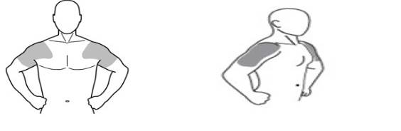 Pill image for These Highlights Do Not Include All The Information Needed To Use Testosterone Gel Safely And Effectively. See Full Prescribing Information For Testosterone Gel.