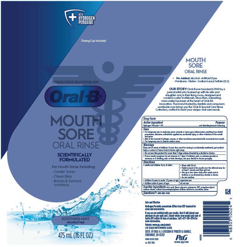 Pill image for Oral-b Mouth Sore Special Care Rinse