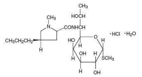 Pill image for Lincomycin Injection, Usp